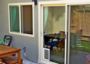 Pet Entry Door Replacement