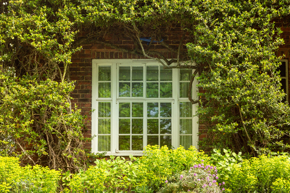 5 Things you Should Know About Casement Windows
